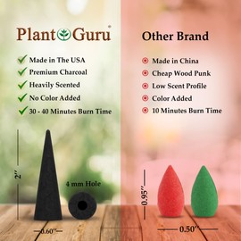 Egyptian Musk Charcoal Incense Cones 2" BACKFLOW - 60 Pack Bulk - Natural Scented Cones Handmade Hand Dipped