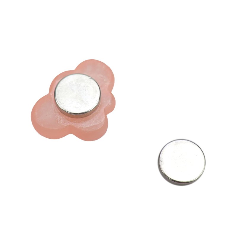 pranovo 3 Pack Jumping Spider Cloud Ledge for Pet Spider