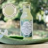 Boutique Herbal FUSIÓN Pulpa de Aloe y Concentrado de nopal