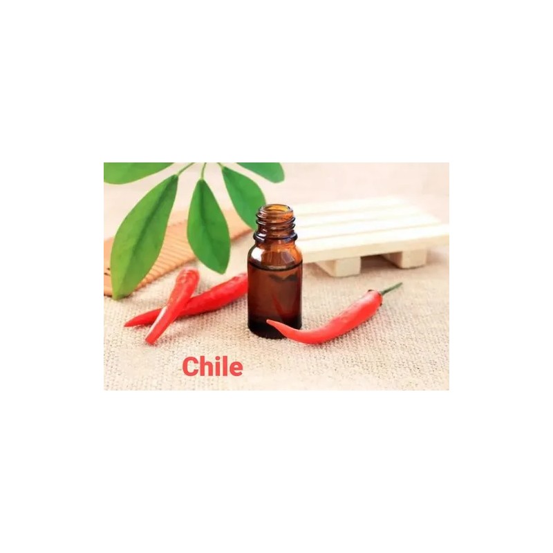 Shampoo Vandé Capilar Sangre De Drago 10 Lts.