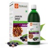 Krishna's Herbal & Ayurveda Jamun Juice - 500 Ml (Pack