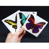 Large Butterfly Temporary Tattoos by Butterfly Utopia (12 Sheets)