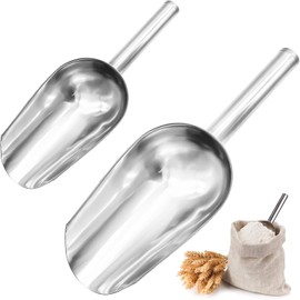 2 pieces stainless steel scoop, stainless steel ice scoop, small flour scoop, food scoop, tea scoop, suitable food scoop, multifunctional bag shovel for bar, kitchen, buffet, party (2 sizes)