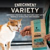 Vital Essentials Rabbit Bites Cat Treats, 0.9 oz | Freeze-Dried