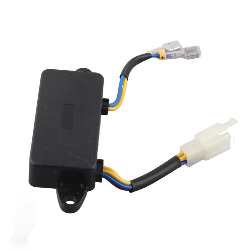 Regolatore di Tensione del Generatore, Automatico AVR 250V 220UF Presa