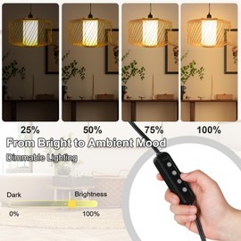 Plug-in Pendant Light Rattan Hanging Lamp, Boho Hanging Lights with Woven Lampshade, 3-Way Dimmable & Timmer Setting Ceiling Light Fixture for Living Room, Bedroom, Farmhouse (Bamboo Oval)