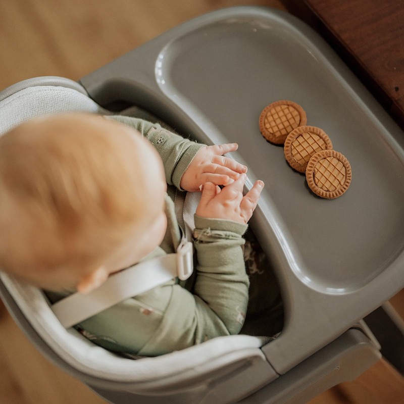 Fodoss Convertible Baby High Chair with Detachable Tray, Foldable High