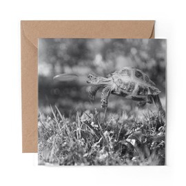 1 x Greeting Card BW - Tortoise Turtle Jumping Frisbee - Blank Birthday Celebration Anniversary #36328