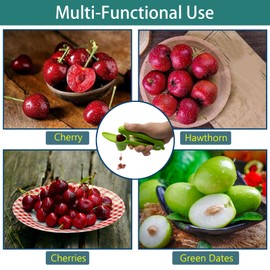 Cherry Pitter Tool Pit Remover Heavy-Duty Stainless Steel Olive Pitter Cherry Pitter Corer Tool for Make Fresh Cherry Jam (Black and Green)