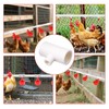 10pcs Chicken Waterer Tee Fittings, 1/2" Slip x 1/8" FPT