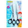 Stainless Steel Scissors & Shaggy Scissors G-5013