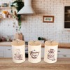 Kitchen Containers Set of 3 for the Coffee Bar -Metal