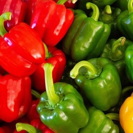 Domestic red bell pepper product 500g / 국내산 빨강 홍 피망 상품 500g