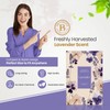 Brooklyn Fragrance Co. Spring Florals Sachet Bags – Lavender Scented