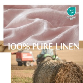 Simple&Opulence 100% Linen Duvet Cover Set, 3 Pieces Belgian Flax Breathable Bedding, 1 Comforter Cover+2 Pillowshams with Coconut Button Closure(King,Dusty Pink)