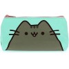 Pusheen Zipper Pencil Case (Aqua, Brand New)