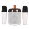 Wireless Karaoke Speakers RGB Light Bluetooth5.3 Speaker with 2 Wireless