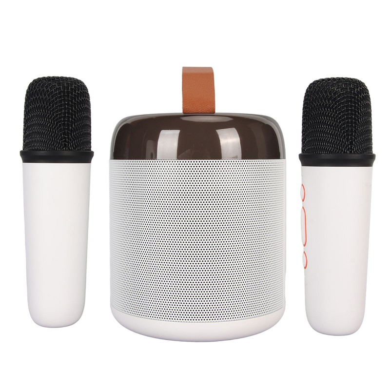 Wireless Karaoke Speakers RGB Light Bluetooth5.3 Speaker with 2 Wireless