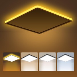 PAZEAU LED Ceiling Light, 24 W Ceiling Light with Remote Control, 1800 K Night Light, Panel Dimmable 3000 K - 6500 K, Round Bathroom Lamp, Ceiling Kitchen Lamps for Living Room, Children's Room,