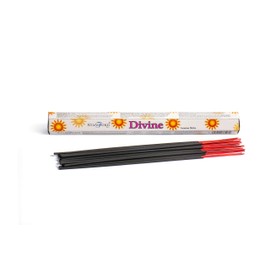STAMFORD INC 37527 Divine Incense, 20 Sticks x 6 Packs, One Size