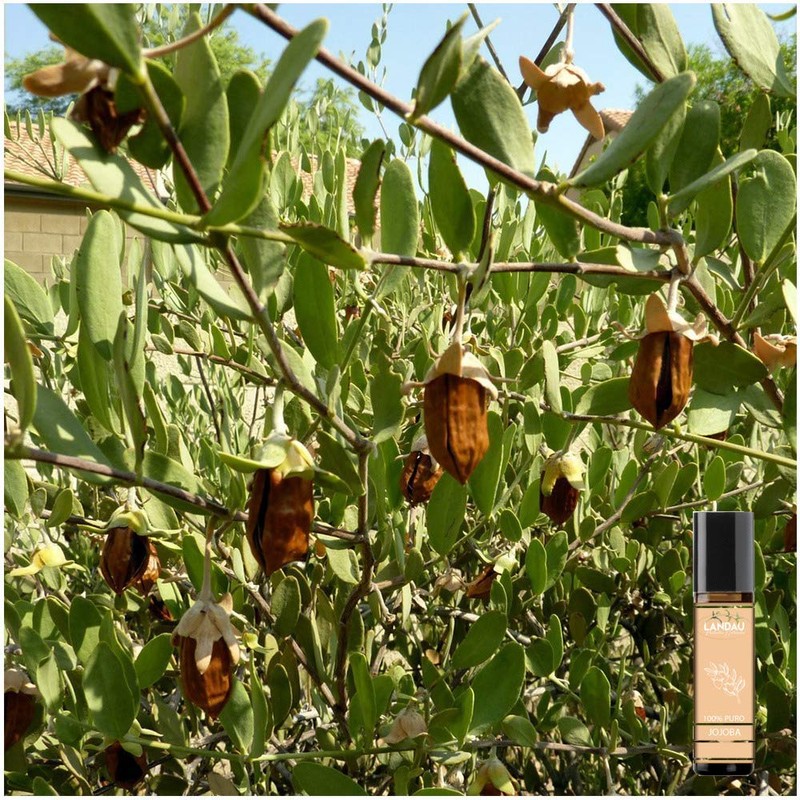 ACEITE DE JOJOBA 100% PURO ROLL ON 10 ML