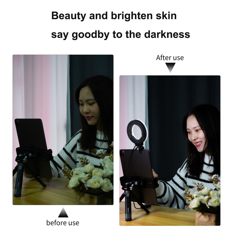 Mini 4 Inch LED Ring Light Clip-on Laptop Video Conference