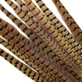 RINGNECK PHEASANT TAIL FEATHERS - 18-22 inches - 2 pc. - Fly Tying Materials NEW - #1