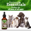 Animal Essentials Body Cleanse Liver Support for Dogs & Cats,