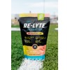 REDMOND Re-Lyte Hydration Electrolyte Powder Bulk Pouch 175 Servings/Watermelon Lime