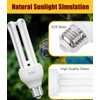 KINGYEENUO E26 UVA UVB Light Bulb for Birds 2.4 UVB