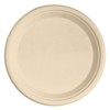 Responsible Products 9 inch Round Plates, Tree-Less™ Compostable Molded Fiber