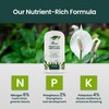 32oz Peace Lily Plant Indoor Live Fertilizer - Makes 192