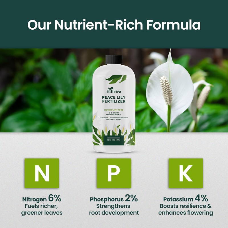32oz Peace Lily Plant Indoor Live Fertilizer - Makes 192