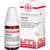 DHU Thuja D4 Spreading Balls 10 g Globules