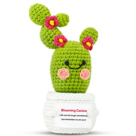Positive Plant Thank You Gifts: Crochet Blooming Cactus Gifts for Women Friends Sister Birthday Mother's Day, Cute Funny Potato Dolls with Inspirational Cards Office Plant Decors (Blooming Cactus)