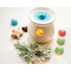 Christmas Scented Soy Wax Melts - Homemade Vegan Friendly -