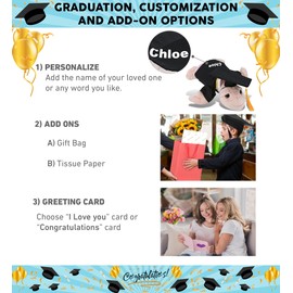 DolliBu Rainbow Pink Sea Turtle Graduation Plush Toy - Super Soft Plush Graduation Stuffed Animal Dress Up Gown, Cap with Tassel Outfit - Congratulatory Graduation Gift with Personalization - 10 Inch