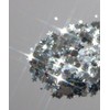 Platinum Biodegradable Chunky Glitter // Karizma Beauty Silver Face Glitter