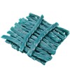 Candy Retailer Licorice Twists (16 Ounces, Blue Raspberry)