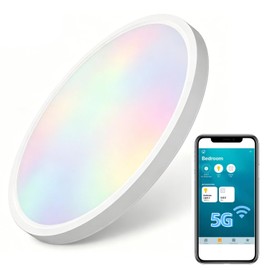 HomeKit Smart LED Ceiling Lights RGBCW Color Changing Ceiling Light Work with Apple HomeKit, Alexa Google Home Flush Mount Ceiling Lamp 24W Dimmable for Living Room, Bedroom 5G Hz/2.4G Hz Support