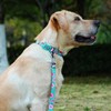 Olahibi Dog Collar and Leash Set, Rose Pattern, Polyester Material,