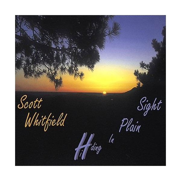 Hiding in Plain Sight by SCOTT WHITFIELD [Audio CD]