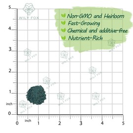 Premium Egyptian Spinach (Molokhia) Seeds – 3000+ Non-GMO, Heirloom Saluyot Seeds for Planting – Fast-Growing, Nutrient-Rich & High-Yield