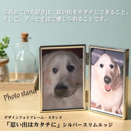 Airrail Photo Frame with 2 Sides, Large, Silver, Steel, Glass, Fine Design, Stylish (2 Sides Large, Wide Edge)