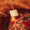 FireStix 3 Pounds of Campfire Large White Marshmallows - Made