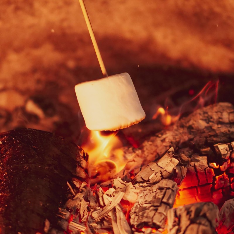FireStix 3 Pounds of Campfire Large White Marshmallows - Made
