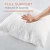 Codi 18x18 Outdoor Pillow Inserts Set of 2, Throw Pillows
