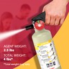 Ougist ABC Dry Powder Fire Extinguisher, 2.5 lb – 1-A:10-B:C