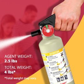 Ougist ABC Dry Powder Fire Extinguisher, 2.5 lb – 1-A:10-B:C Rated, Fire Extinguisher for Home, Kitchen& Vehicle, Fire Extinguisher with Easy-Grip Handle & Quick Release, Model FF1KG,1 Pack, Grey