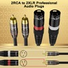 Dual XLR to 2 RCA Stereo Audio Cable 20 FT,